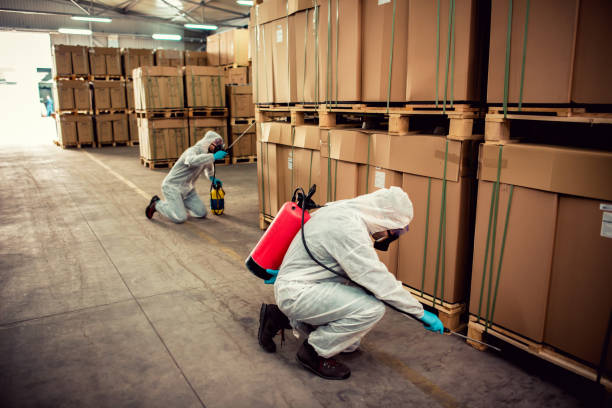 Best Best Pest Control Companies  in Carson, WA