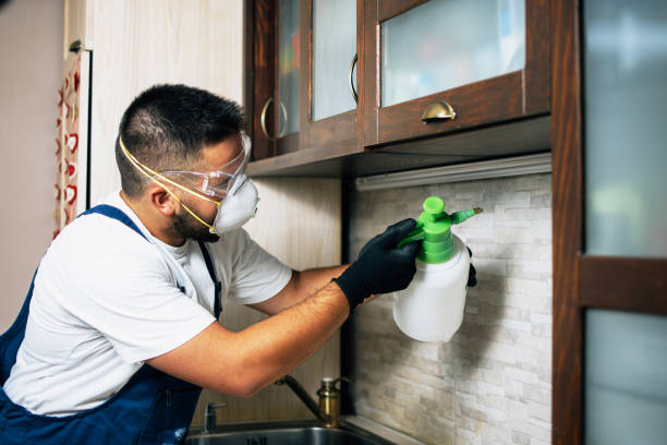 Best Pest Control Near Me  in Carson, WA