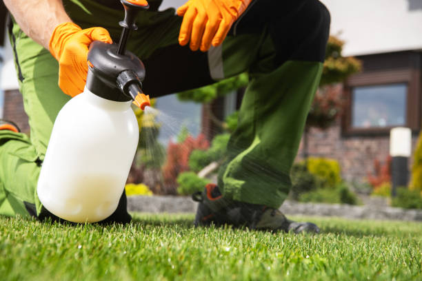 Best Residential Pest Control  in Carson, WA