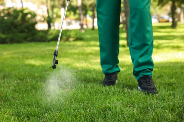 Best Exterminator Services  in Carson, WA