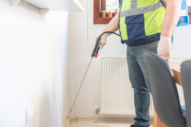 Best Wasp Removal Services  in Carson, WA