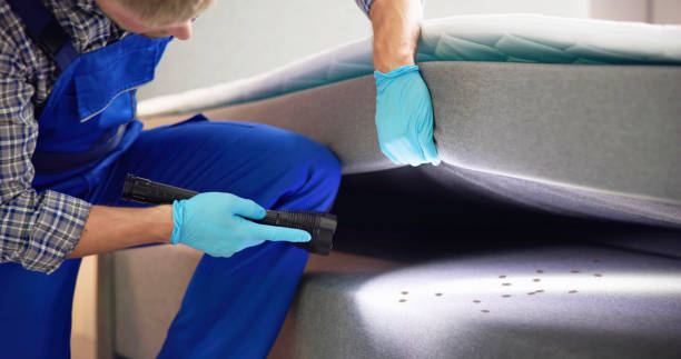 Best Bed Bug Extermination  in Carson, WA