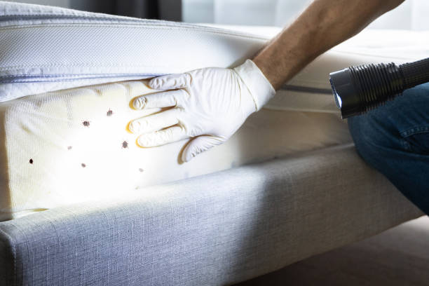 Best Pest Inspection Near Me  in Carson, WA