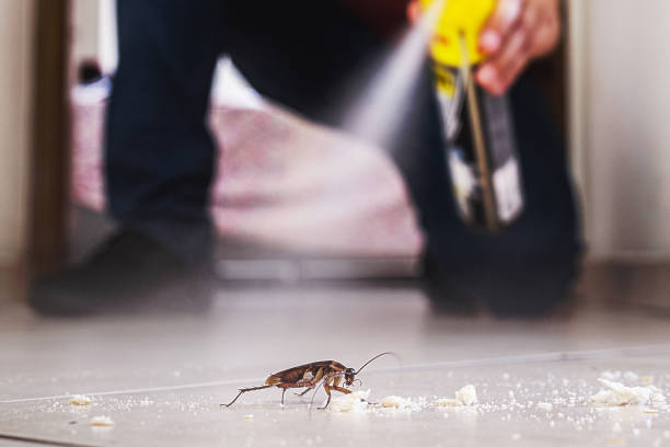 Best Spider Control Near Me  in Carson, WA