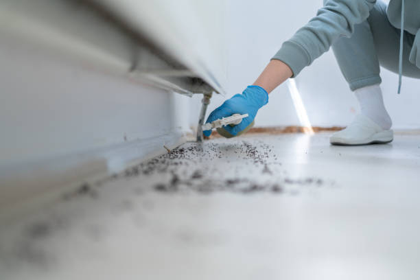 Best Cockroach Control Services  in Carson, WA
