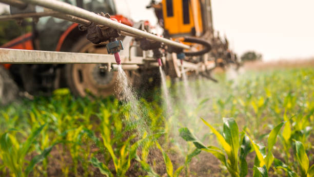 Best Pest Control for Businesses  in Carson, WA